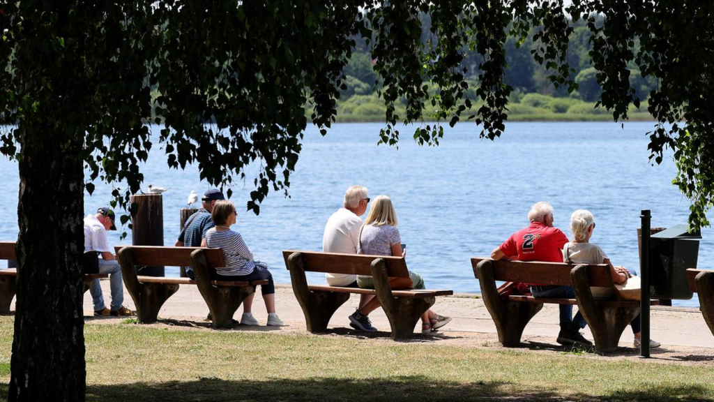 image 029d1bba a1ae 4e44 a2c4 e8887cafb6a4.png