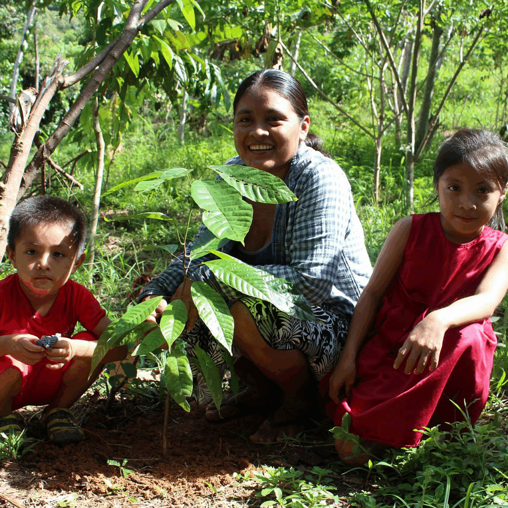 image 1v7miwnfgx.png