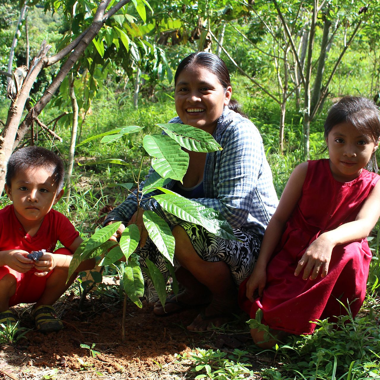 image 1v7miwnfgx.png