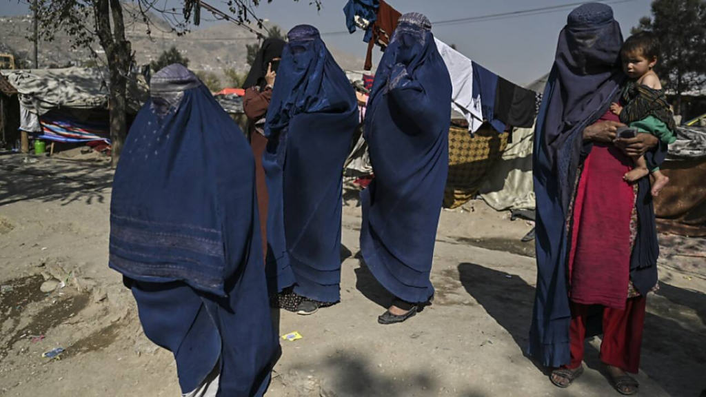 image 311327e4 5bf4 4b52 85f0 41d579b133b9.png