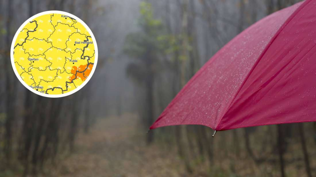 image 5a924baa 3365 464d 8cf3 17187de9af6b.png