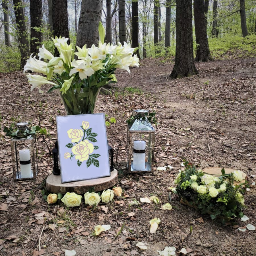 image h8ot1x7lki.png