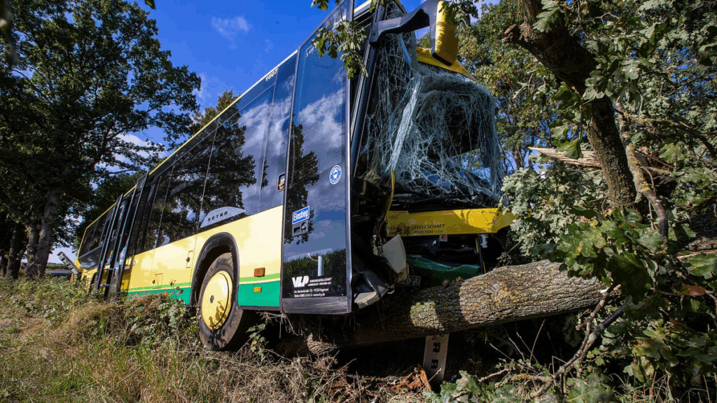 image opc2bwex0l.png