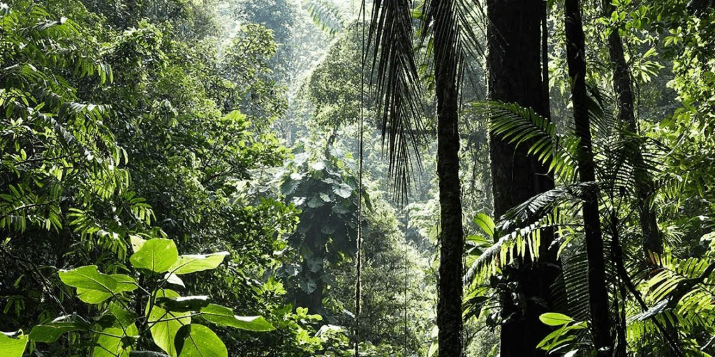 image qgbbhlqzak.png