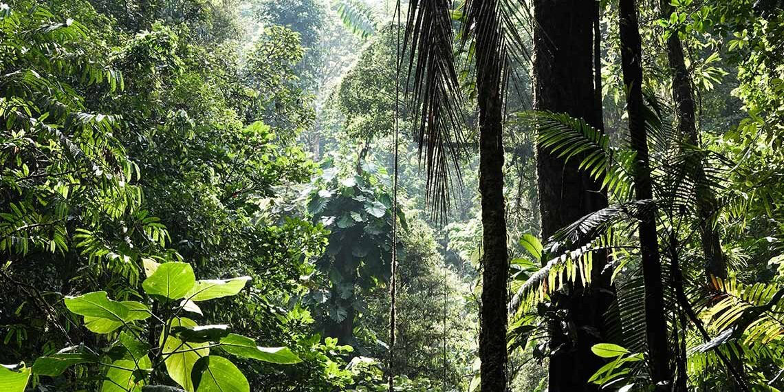 image qgbbhlqzak.png