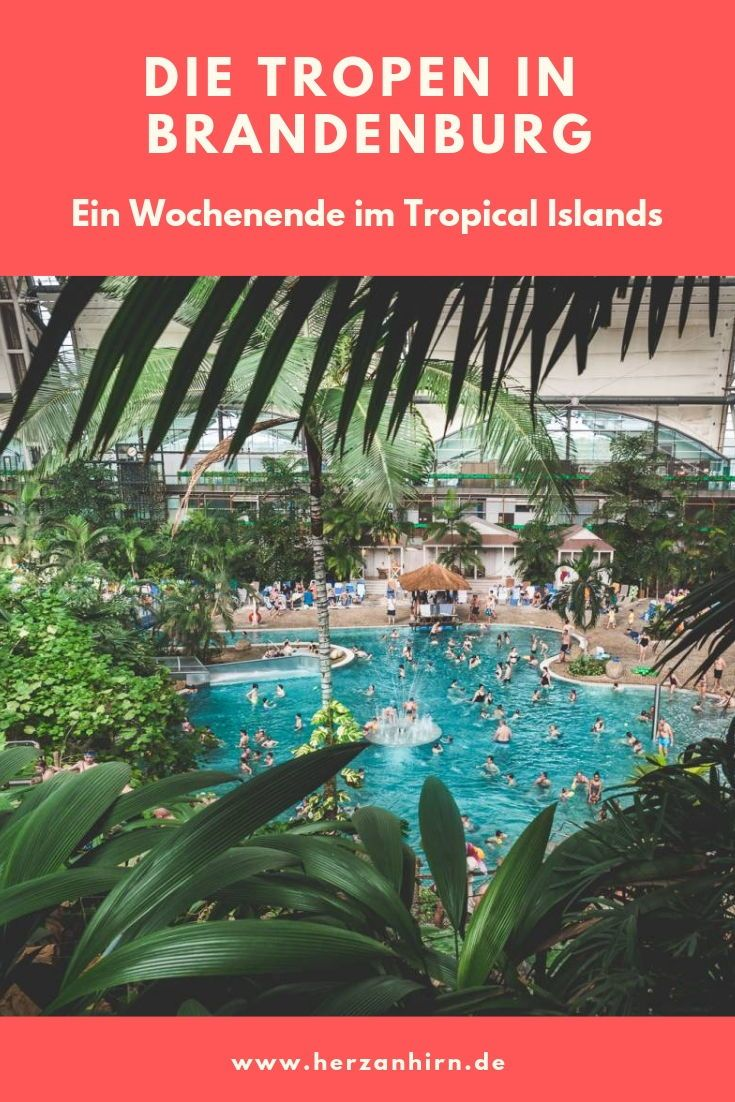 image sxmrz7jdnk.png