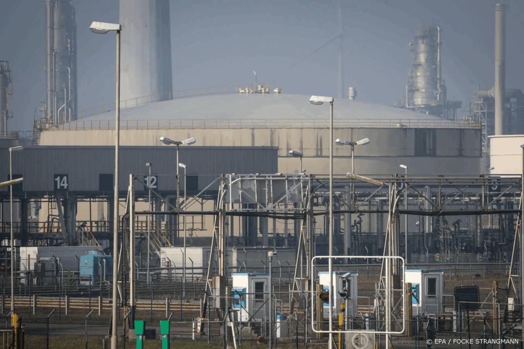 image t8ocdpbna3.png