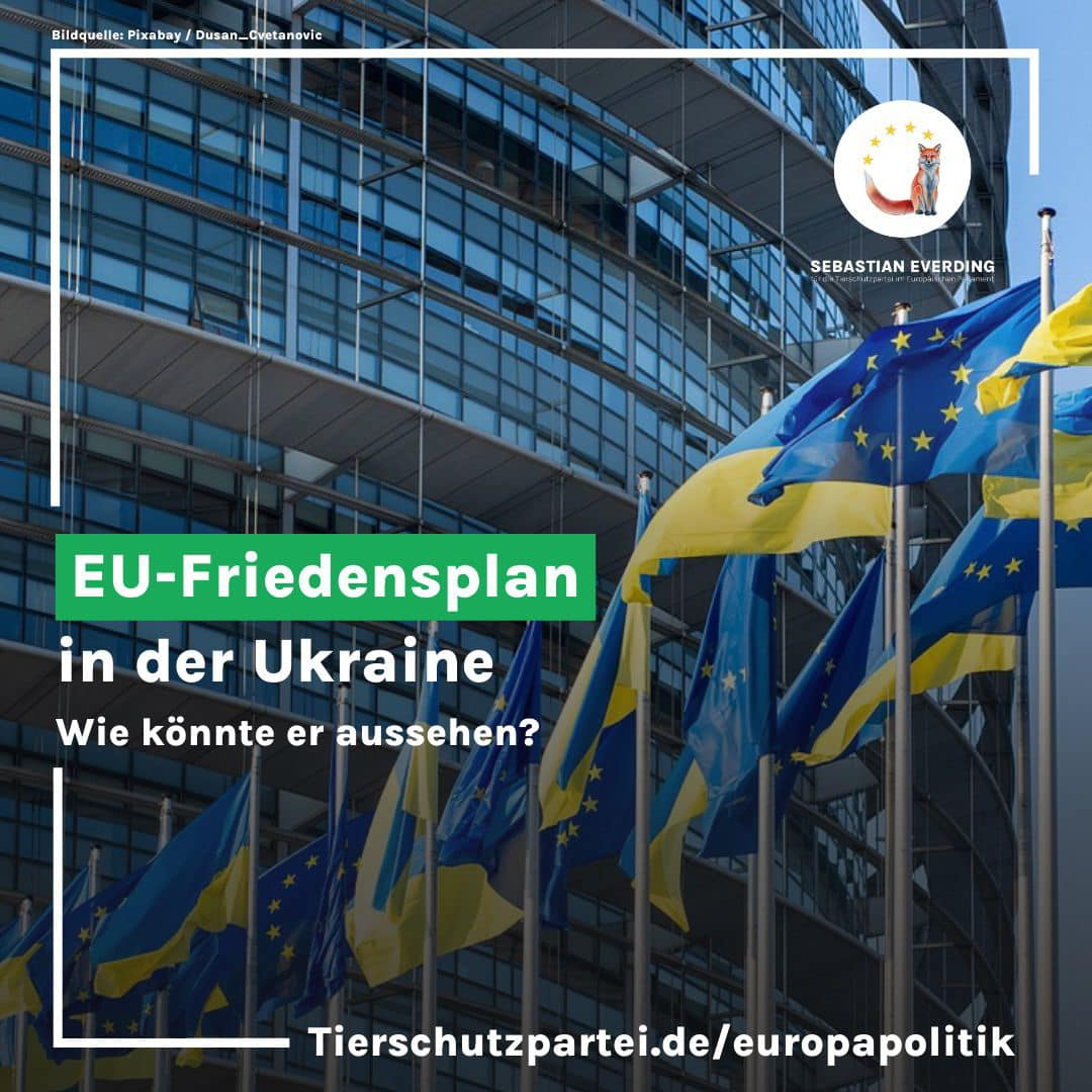 Friedensplan für die Ukraine: USA drängen auf Zugeständnisse image w3fw05yalj.png