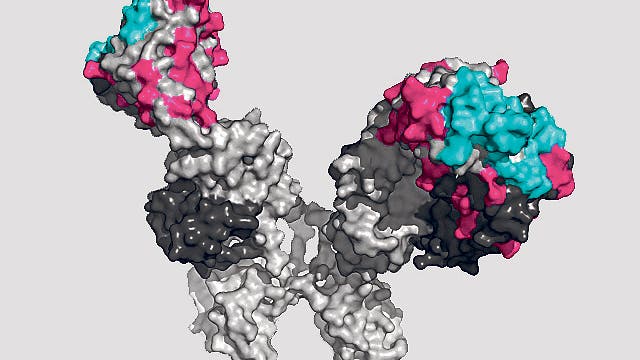 image a9cd5388 636b 4d2e b0c9 cc4c273e47f3.png