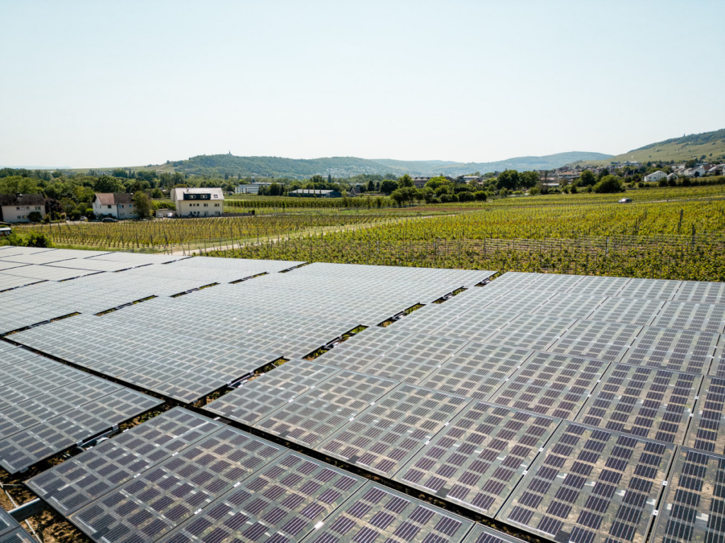 image b2d50133 786c 46ae 8d0e b47079ef5728.png