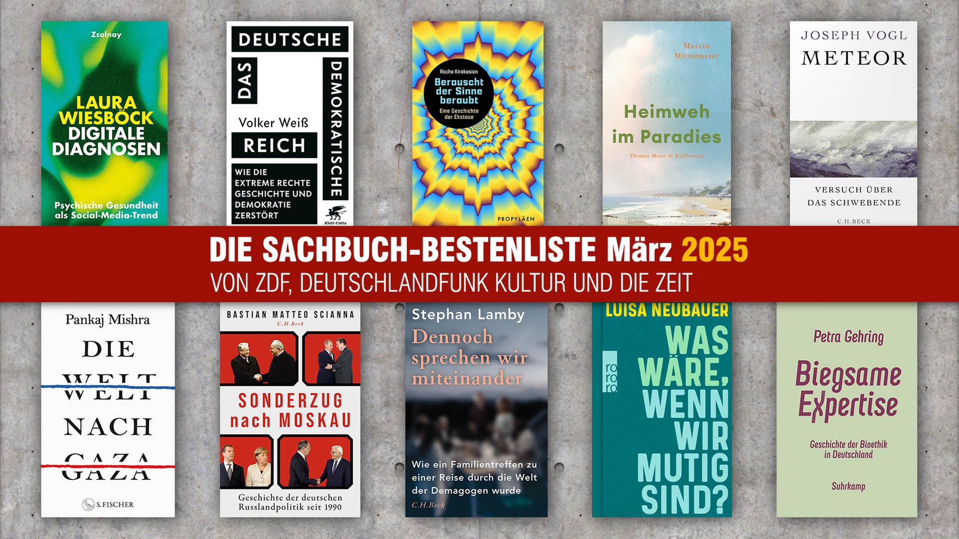 Sachbuch Rückblick 2025: Die besten Bücher des Jahres image 09d3e61a b663 42e1 b87d 37b528d26efb.png