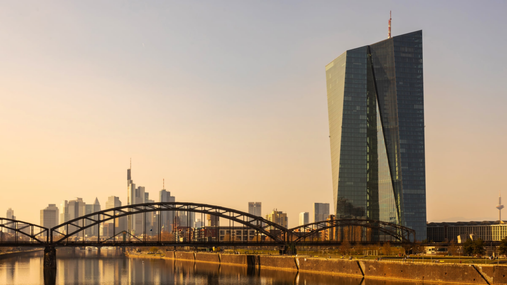 image 1d367e4f 362b 4fc7 96c5 105ffe290543.png