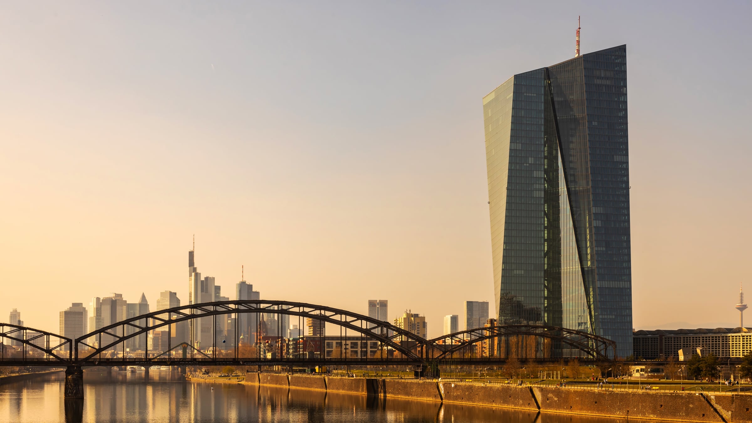 image 1d367e4f 362b 4fc7 96c5 105ffe290543.png