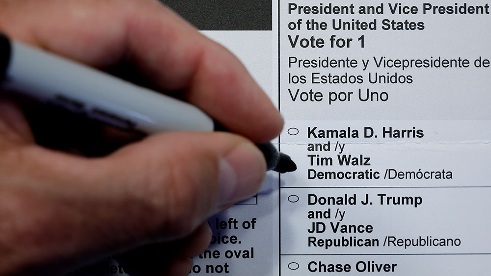 image 247de303 90a2 4a61 9f7e 0dc1acdb239f.png