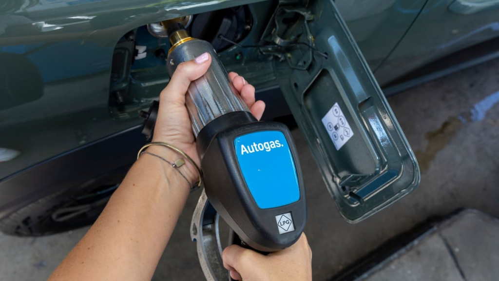 image 25ef2aba 0155 4219 8fd0 b34848c1922d.png