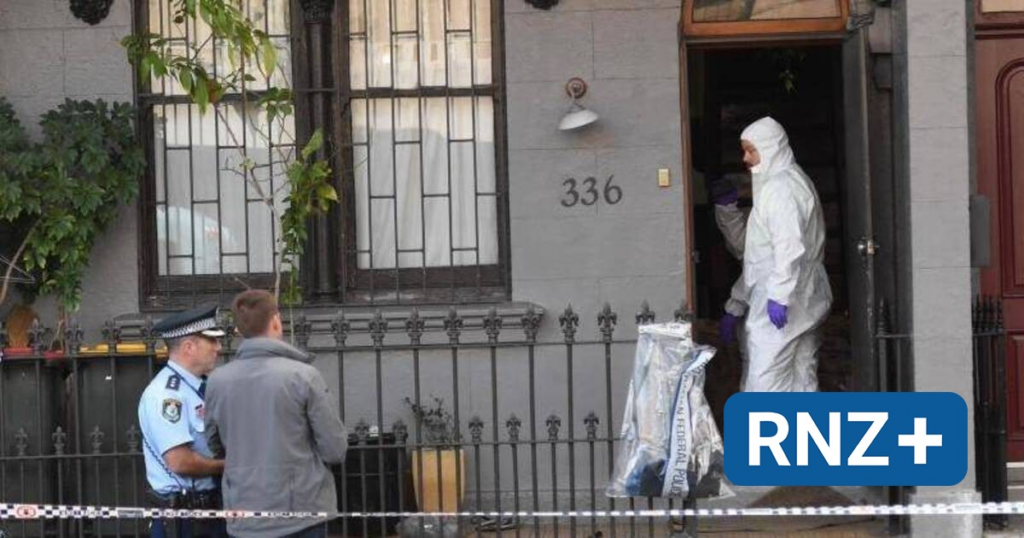 image 2b6a9432 cc76 40c6 a9bd 198be79eabdd.png