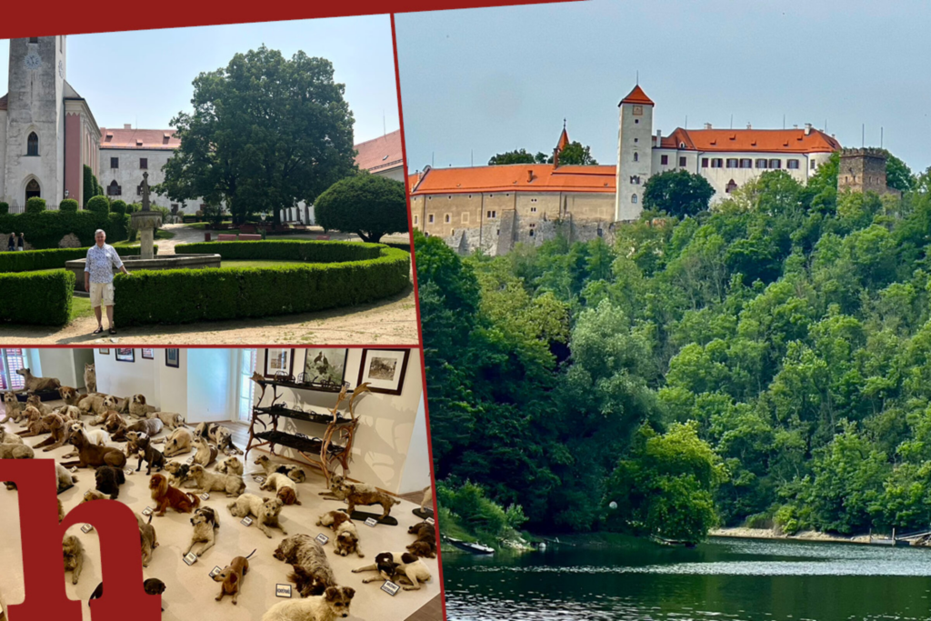 image 3195dfeb efc0 4eac 850b 0b4dadcb373b.png