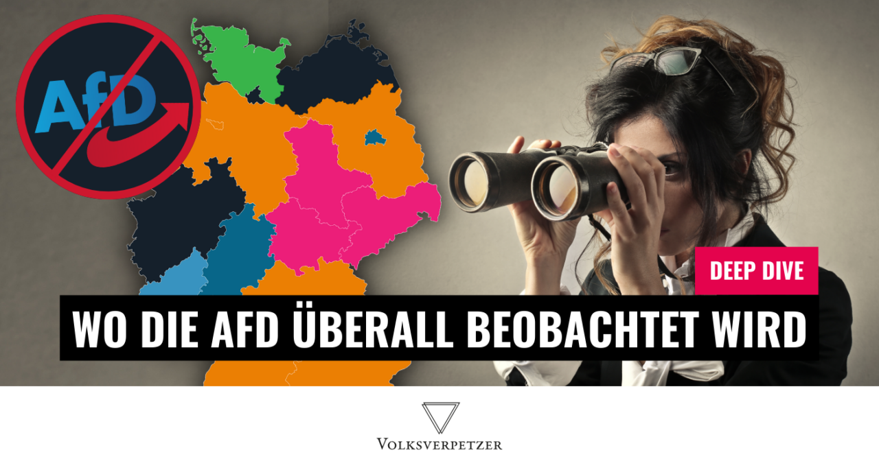 image 3cbddaad 3cb8 4cca 8bc9 4b737cd4a561.png