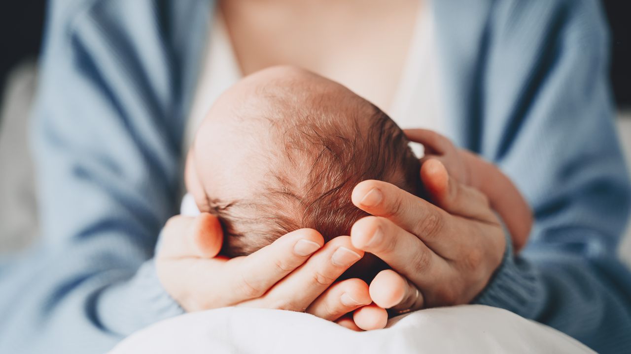 image 40373e3b b831 417c 806c f60a83847f8f.png