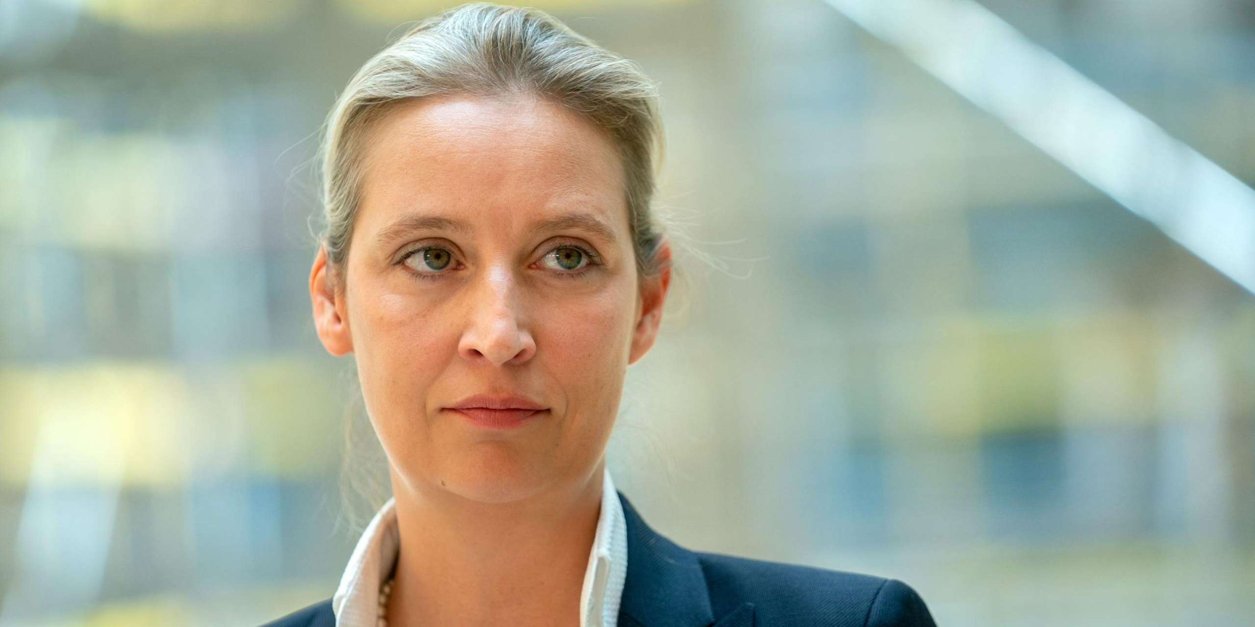 image 427d4804 9b0d 483a 816b bd64318056f6.png