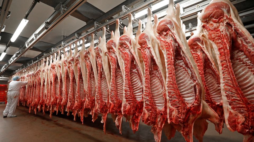 image 4a63d07a cb89 448f 9c1a ad26ea104320.png