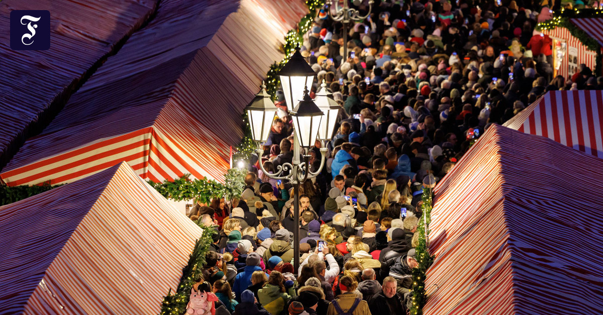 Politische Debatten Weihnachten: Frieden unterm Tannenbaum image 5036a207 ef60 4a68 9c03 fdb18a5cfacb.png