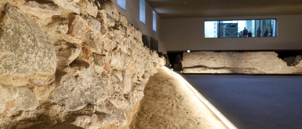 image 531ca3e7 e455 4973 987f 49349be50e81.png