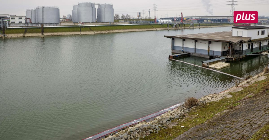 image 58785e62 5dc0 43b2 97c4 fbc4ab24772e.png