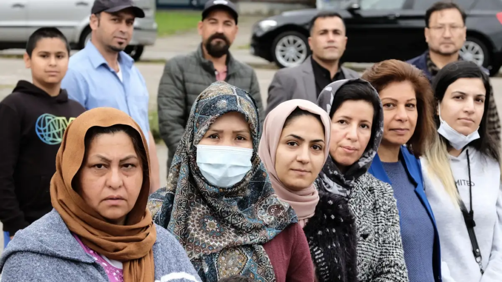 image 7d4da8fb 44dd 49a6 8c4f a563c509d786.png