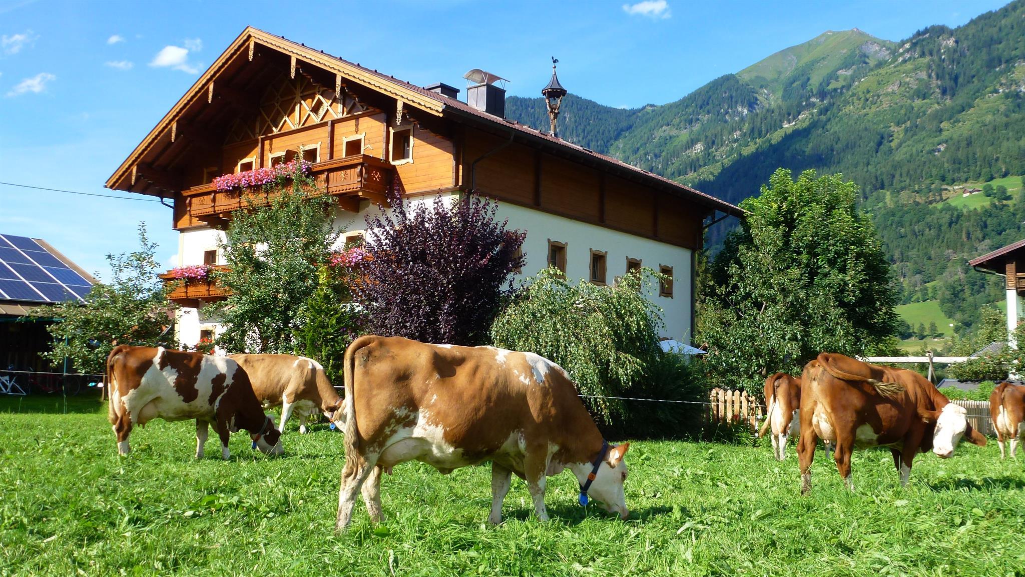 image 7ec5e3d1 04b5 4558 a6e0 4bdaab1487ce.png