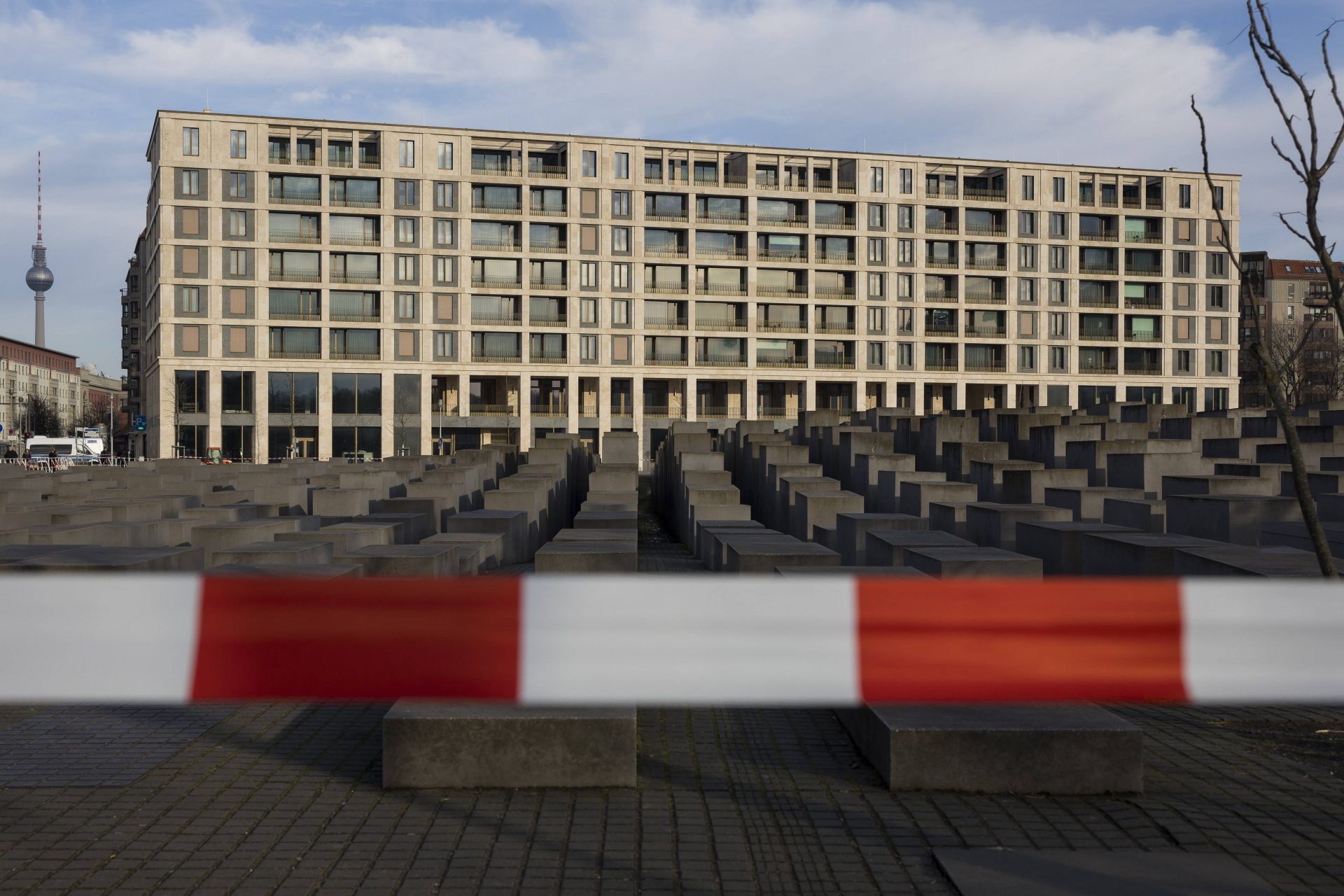 image 8610d69e e9b3 468d 9e6d a382bb1091e4.png