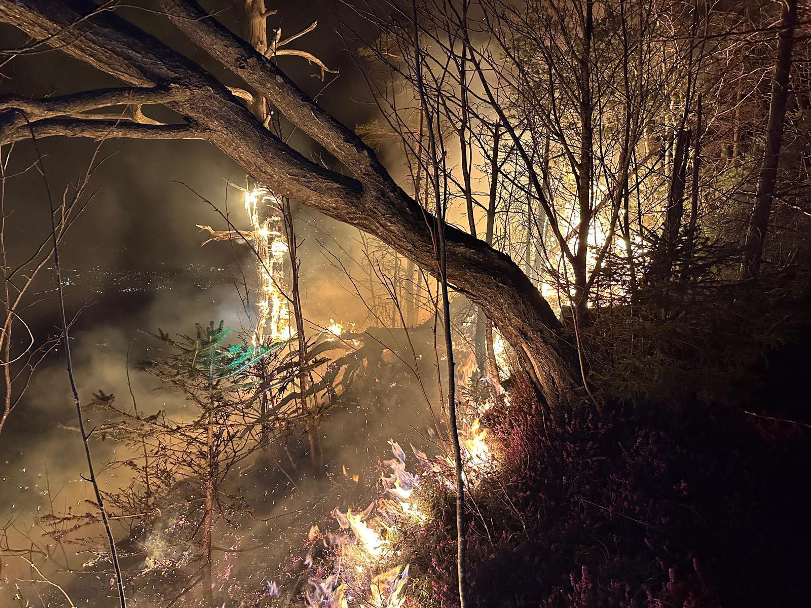 image 91d4e6be 532d 4839 8a83 96c4ee6c381d.png