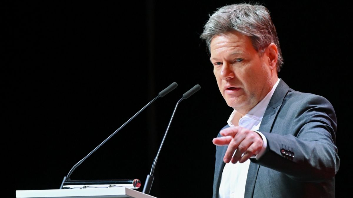 Robert Habeck Special Treatment Faces Court Criticism image a3161ac9 13f6 45ff 8f19 7f6597554700.png