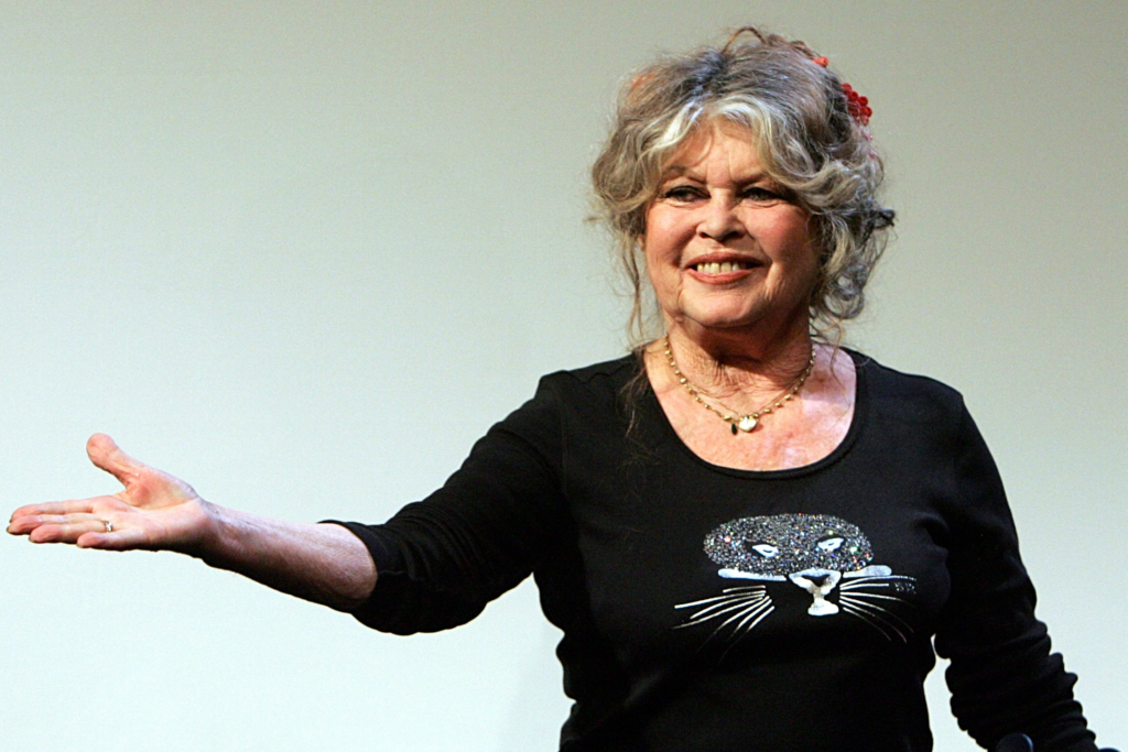 image aa68c32f 659e 4d7d a867 64b5633e7fd5.png