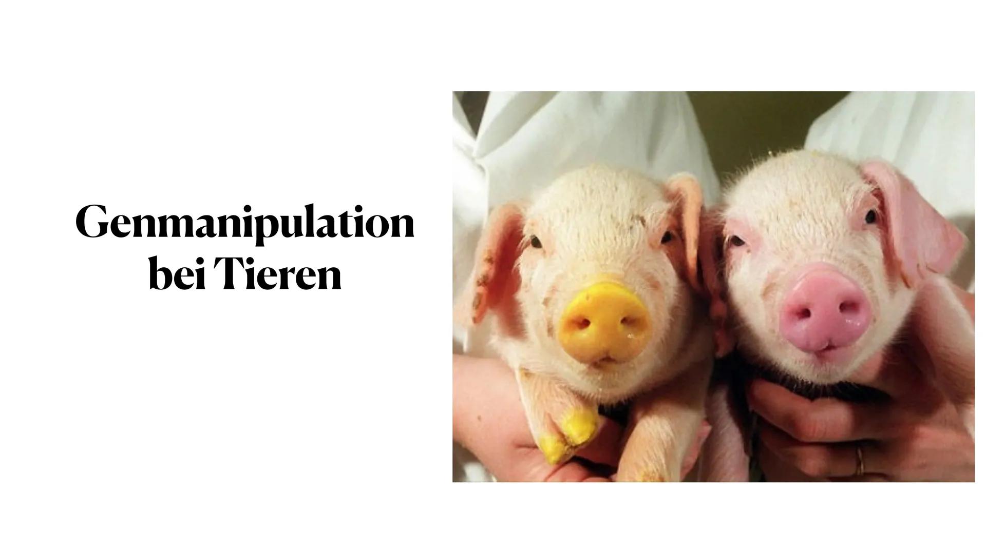 image ae745301 d50c 413e b866 2f4ee54bcd8b.png