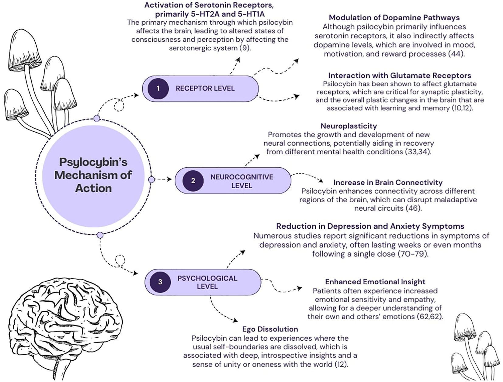 image c00bc382 849d 4f68 b784 8451b463844c.png