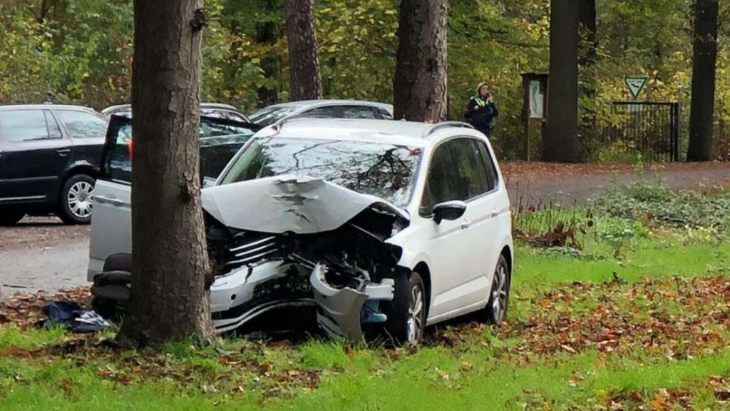 image c19fb8c5 87a2 4eaf adf9 b7a1ff81a043.png