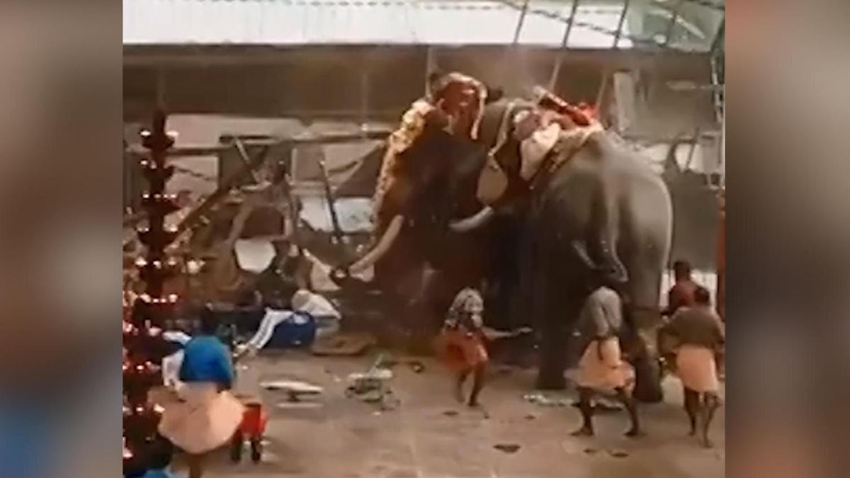 Elefantenunfall Indien: Tragischer Vorfall erschüttert Assam image c9687791 561b 4cf0 983b b13ab43c4a68.png