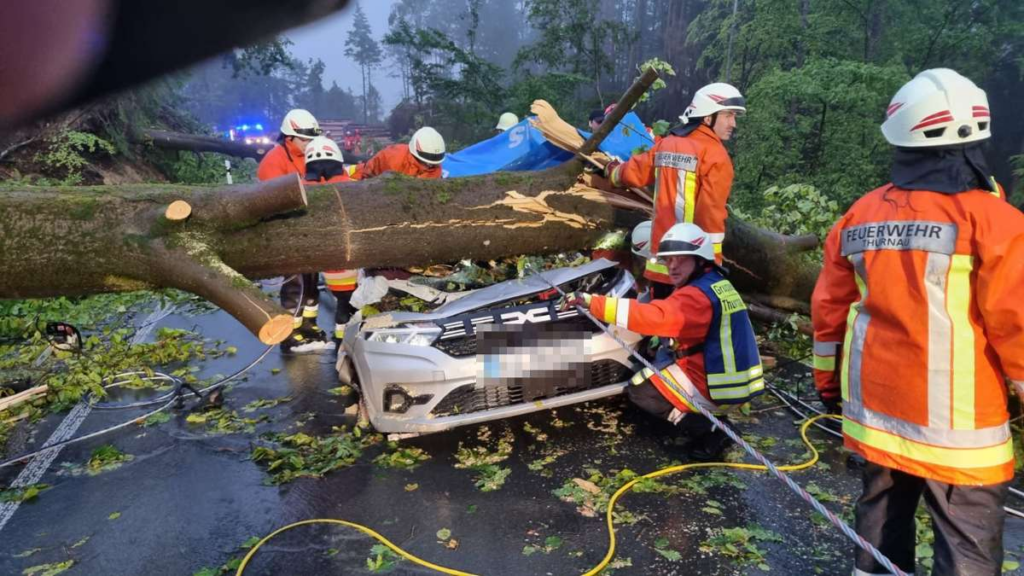 image cc81b487 0c76 40cb 9449 c20877386fba.png