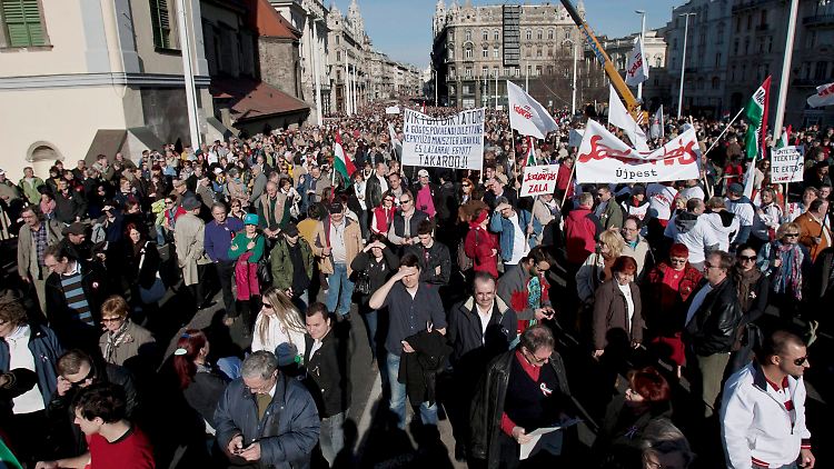 image cfa92a88 80dd 4223 b694 0b9262a56c16.png