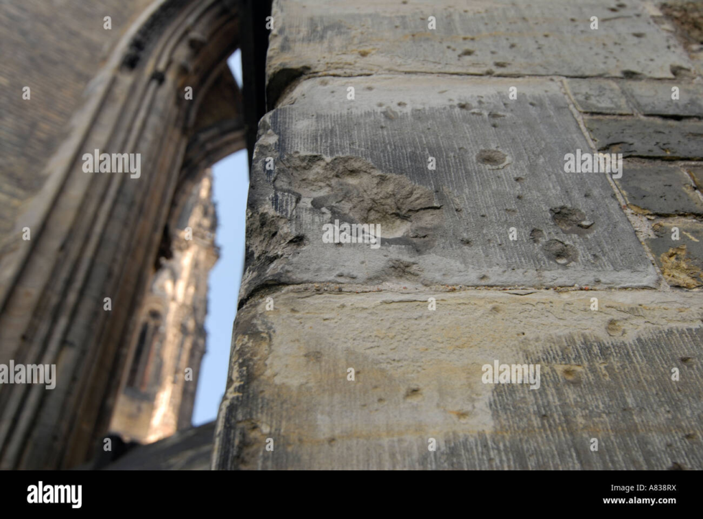 image d15fc024 9c3a 4599 bfc4 e3cc3a7bb7f0.png