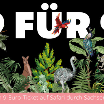 image d1c060e3 04e5 4b4a a59e 74550941be31.png