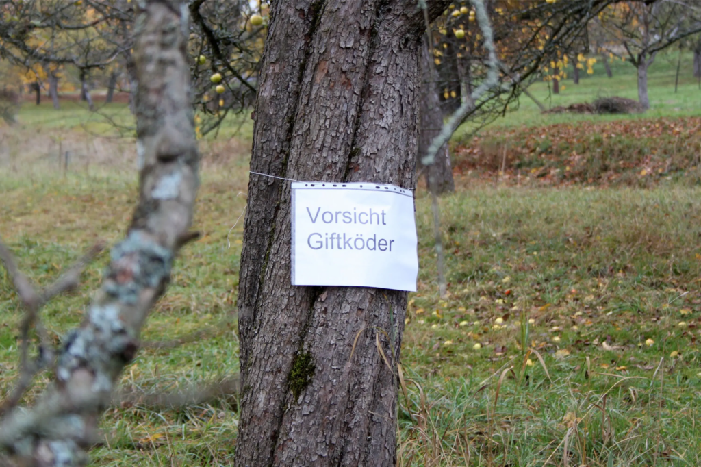 image d8c1e6ec 401f 4ff2 b474 7aa8536655d0.png