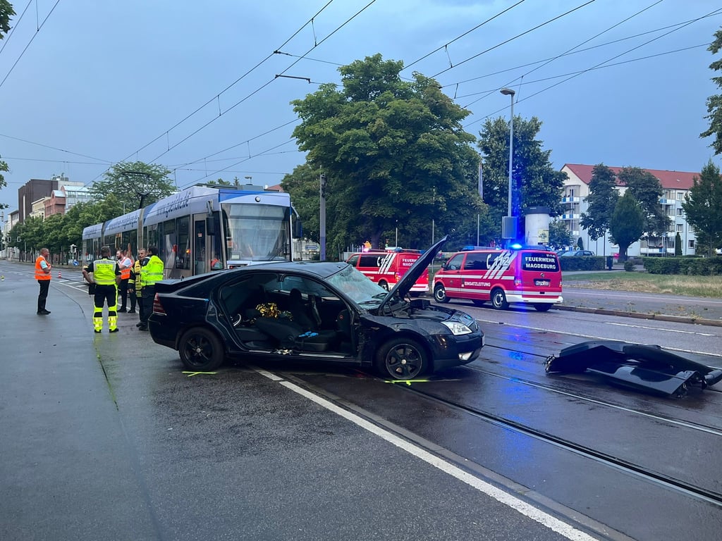 image dbc3347e 6e3d 450e 8793 6943044b2a2f.png