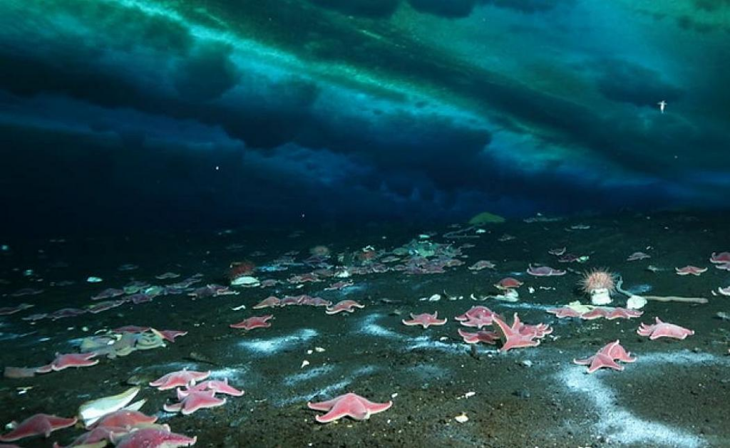 image e59bad7c 9b68 46a4 98e5 a248531a9a7e.png