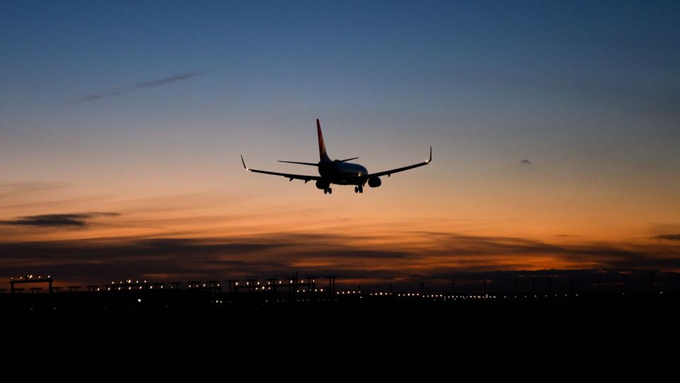 image ea2d20cd 448e 4c95 86e2 a2c31ea50c2d.png