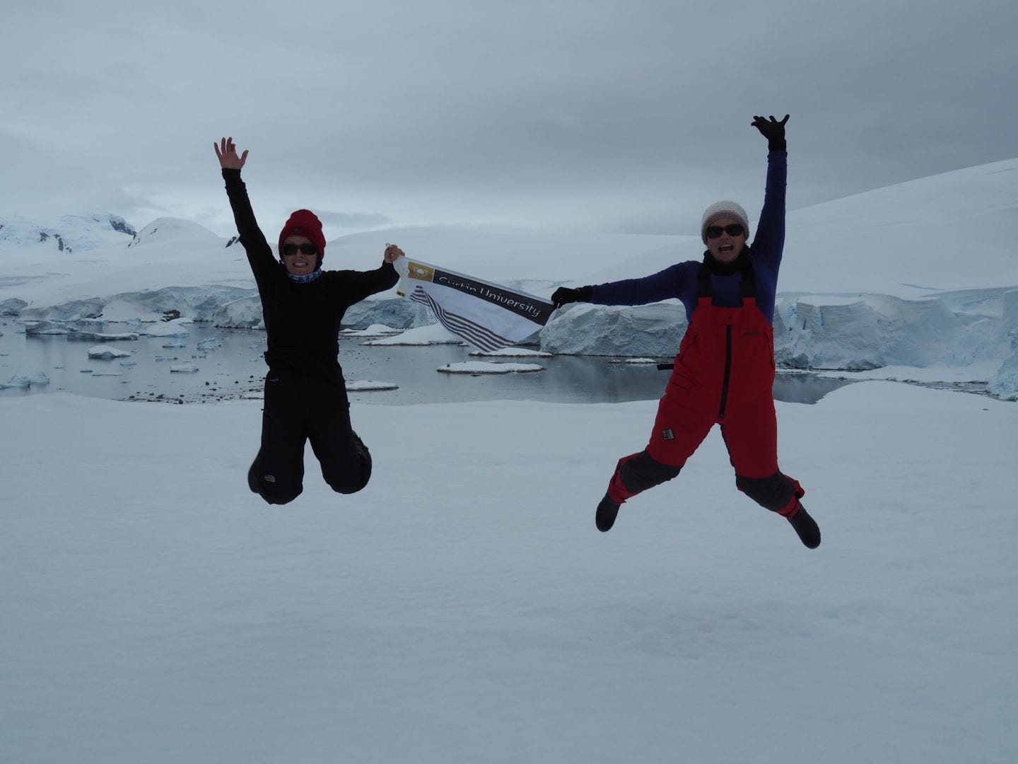 image f2cfcee1 58be 4077 94a4 bd790566ce6c.png