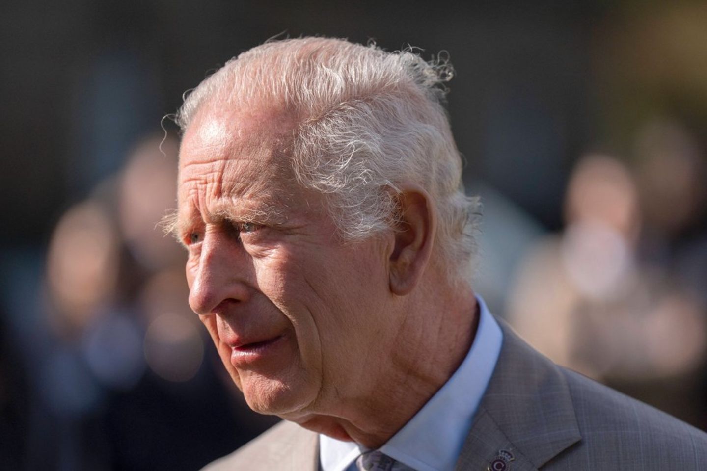 image fda9f7b1 686b 4889 9887 346bd99df7be.png