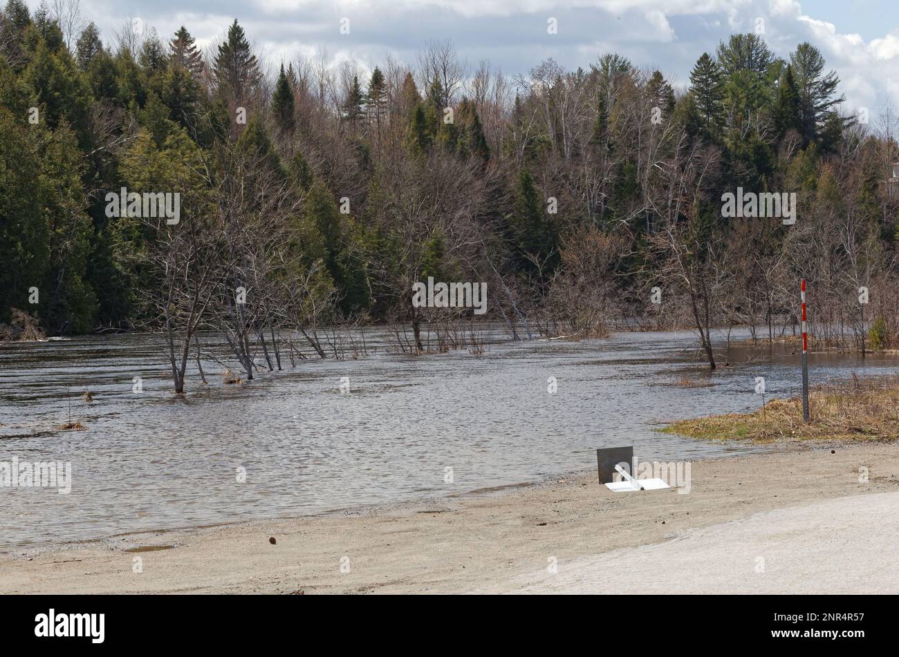 image ff1dacfe f021 443c 8914 e34a1033dbe0.png