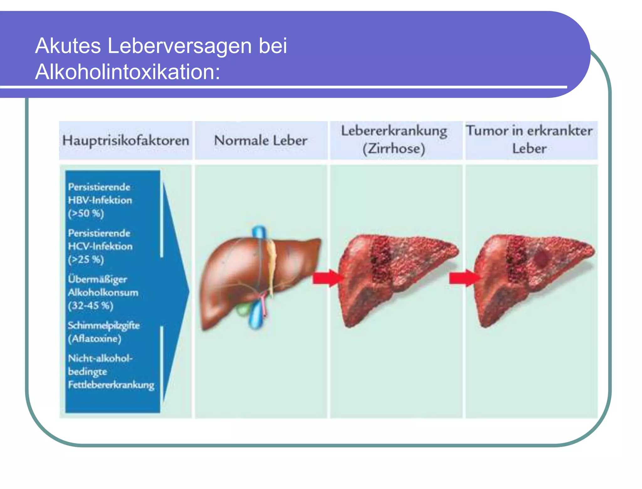 image 0b2fb95a 1450 4d8a 9ede ea34ece993d8.png